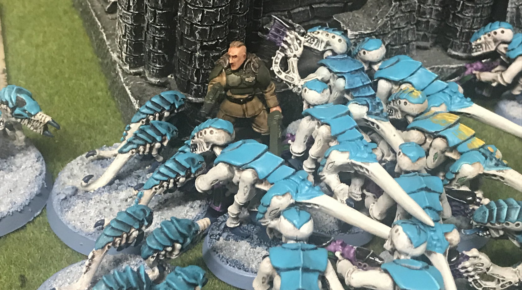 Cadian Shock 2019 in Review